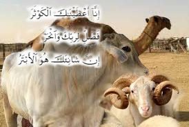 PENGAWETAN DAN PENDISTRIBUSIAN DAGING KURBAN DALAM BENTUK OLAHAN