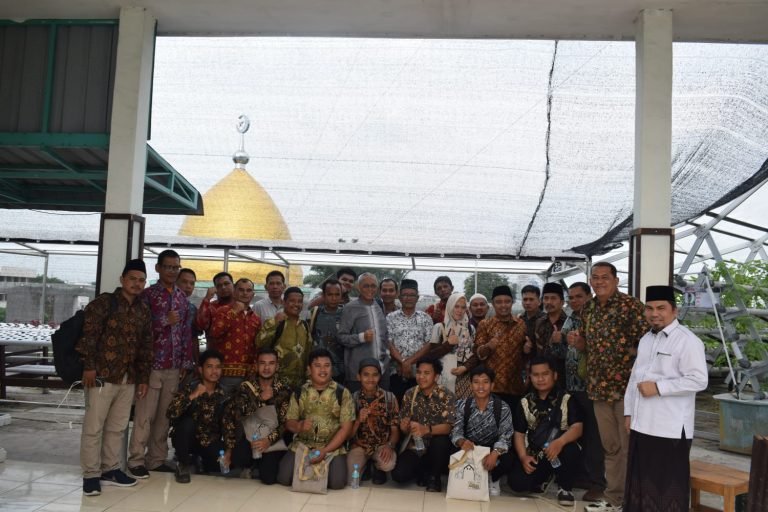 Pelatihan Kewirausahaan MUI Sumut Mendorong Pengembangan Pertanian Perkotaan