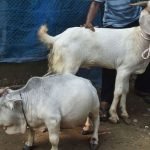 WhatsApp Image 2024-06-12 at 14.28.28