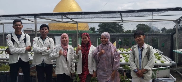 Mahasiswa Universitas Satya Terra Bhinneka Medan Lakukan Observasi di Kebun Hidroponik Wakaf MUI Sumut