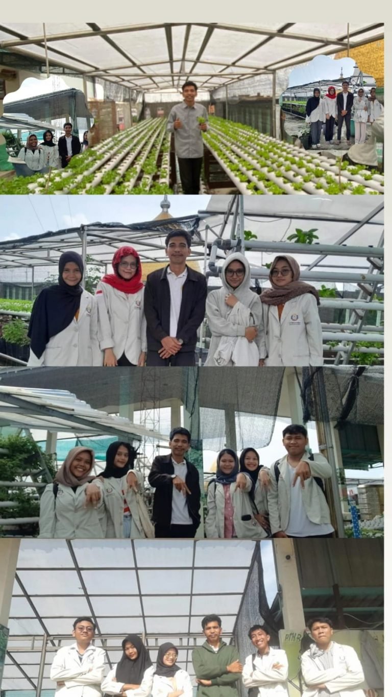 Mahasiswa Agribisnis Universitas Satya Terra Bhineka Medan Kunjungi Urban Farm MUI Sumut, Dorong Potensi Petani Muda