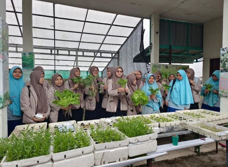 Kunjungan Edukatif ke Urban Farm P2WP MUI Sumut: Menginspirasi Generasi Muda dengan Inovasi Hidroponik